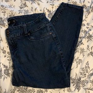 Torrid Skinny Jean 20 Short
